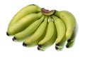 Green Bananas Isolated Royalty Free Stock Photo