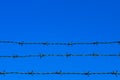 Green barbed wire fence against clear blue sky with copy space Royalty Free Stock Photo