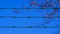 Green barbed wire fence against natural background of clear blue sky and blurred tree branch Royalty Free Stock Photo