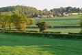 Green Barley Fields in Spring, Norfolk, England, UK Royalty Free Stock Photo