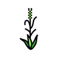 green barley plant color icon vector illustration