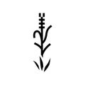 green barley plant glyph icon vector illustration