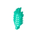 green barley plant isometric icon vector illustration