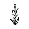 green barley plant line icon vector illustration