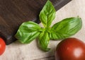Green basil and cherry tomatoes close-up.Food background with herbs Royalty Free Stock Photo