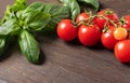 Green basil and cherry tomatoes close-up.Food background with  tomatoes Royalty Free Stock Photo