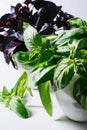 Green basil leaves on background of white brick wall, fresh healthy herbal food on kitchen table, space mock up, dieting leaf Royalty Free Stock Photo