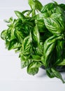 Green basil leaves on background of white brick wall, fresh healthy herbal food on kitchen table, space mock up, dieting leaf Royalty Free Stock Photo