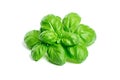 Green basil leaves isolated on white background Royalty Free Stock Photo