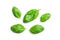 Green basil leaves isolated on white background Royalty Free Stock Photo