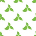 Green basil Ocimum tenuiflorum leaves seamless pattern. Vector illustration