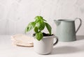 green basil plant in metal mug and vintage watercan