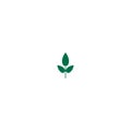 Green basil twig, shoot, sprig. Icon Isolated on white. Logo for eco company Royalty Free Stock Photo