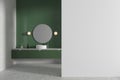 Green bathroom interior with sink, mirror and blank wall Royalty Free Stock Photo