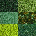 Green beads macro