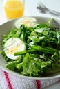 Green Bean Salad Royalty Free Stock Photo