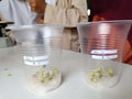 green bean seeds in a plastic cup in a biology experiment in the laboratory.