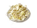 Green Bean Sprouts on a wooden table in a clear glass bowl