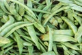 Green beans Royalty Free Stock Photo