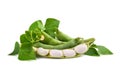 Green beans Royalty Free Stock Photo