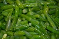 Green beans Royalty Free Stock Photo