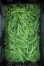 Green beans from the orchard placed on the front of the Bowl Royalty Free Stock Photo