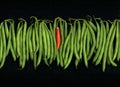 Green Beans Red Chili Pepper Royalty Free Stock Photo