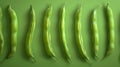 Green beans in a row on green background, symmetrical pattern. Fresh vegetable concept Royalty Free Stock Photo