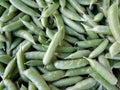 Green Beans Snaps