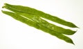 Green beans, tender and very fresh with water drops.