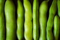 Green beans texture Royalty Free Stock Photo
