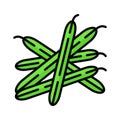 Green beans vector design, pods, haricot verts, healthy and organic vegetables