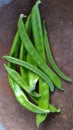 Green beans (vegetable food) Royalty Free Stock Photo