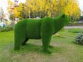 Green bear made of artificial grass green on the background of trees Royalty Free Stock Photo