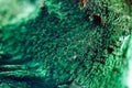 Green beautiful background of natural mineral Malachite. Macro Royalty Free Stock Photo