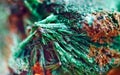 Green beautiful background of natural mineral Malachite. Macro Royalty Free Stock Photo