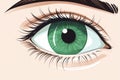 Green beautiful eye of young woman Royalty Free Stock Photo