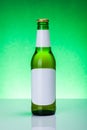 Green beer bottle with blank labels Royalty Free Stock Photo