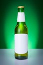 Green beer bottle with blank labels Royalty Free Stock Photo