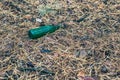 Green beer bottle on the ground in the pine forest Royalty Free Stock Photo