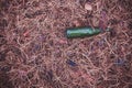 Green beer bottle on the ground in the pine forest Royalty Free Stock Photo