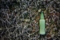 Green beer bottle on a meadow grass covered in ice frost Royalty Free Stock Photo