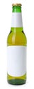 Green beer bottle with white blank labels Royalty Free Stock Photo