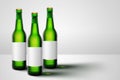 Green beer bottles with blank label mock-up advertising Royalty Free Stock Photo