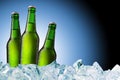 Green beer bottles on ice