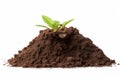 Green Beginnings, Growing Plant from Soil - Generative AI