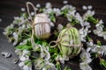 Green and beige macaroons tied with a tourniquet