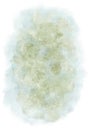 Green beige gray light watercolor background. Abstract watercolor background isolated on white