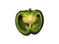 Green_Bell_Pepper