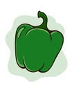 Green bell pepper